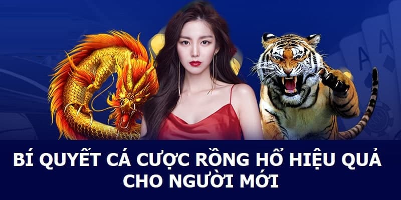 Rồng Hổ - Trò chơi trực tuyến hấp dẫn tại 98win 4 3 mẹo đánh rồng hổ hiệu quả