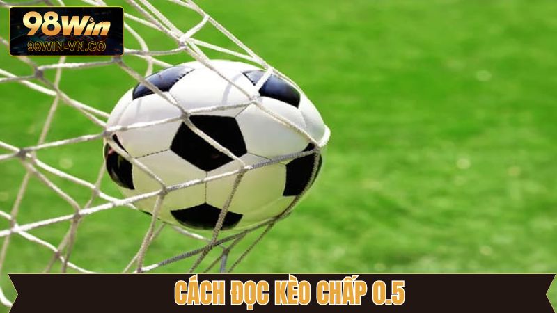 Kèo Chấp 0.5 - Bỏ Túi Bí Kíp Bắt Kèo Cực Đỉnh Chuẩn Cao Thủ 3 Cách đọc kèo chấp 0.5 trái chuẩn nhất hiện nay