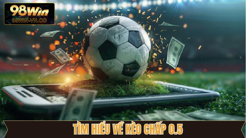 Kèo Chấp 0.5 - Bỏ Túi Bí Kíp Bắt Kèo Cực Đỉnh Chuẩn Cao Thủ 2 Thông tin sơ lược về kèo chấp nửa trái